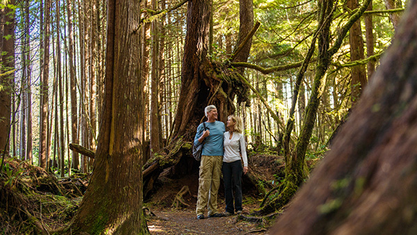 Un couple se tenant debout dans l’ombre de la forêt de la réserve de parc national Pacific Rim.