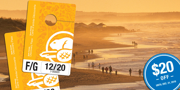 Discovery Pass and a decal advertising $20 off overlaid on a photograph of people enjoying Cavendish beach in Prince Edward Island National Park at sunset.