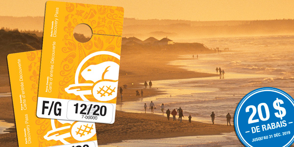 Carte d’entrée Découverte et une infographie indiquant 20 $ de rabais superposées sur une photo de visiteurs qui se baladent sur la plage de Cavendish au parc national de l’Île-du-Prince-Édouard.