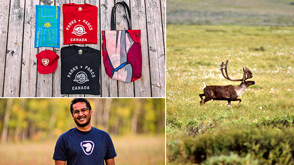 Photo collage promoting the purchase of official Parks Canada merchandise that supports wildlife research.